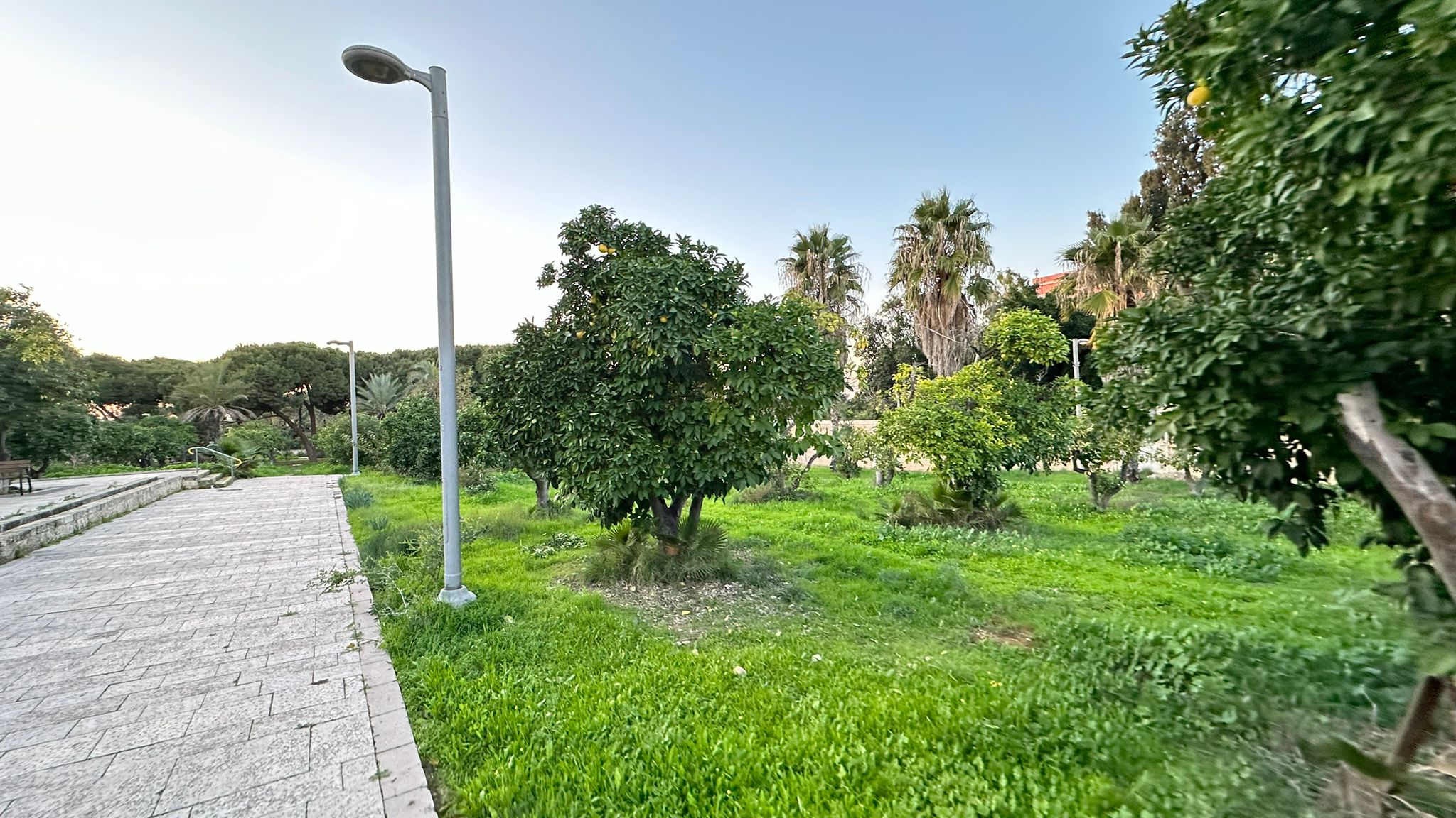 WhatsApp Image 2024-01-06 at 10.25.28 (1).jpg